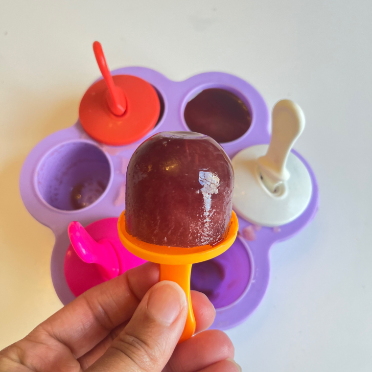elderberry popsicles for cold and flu remedies for kids and the whole family